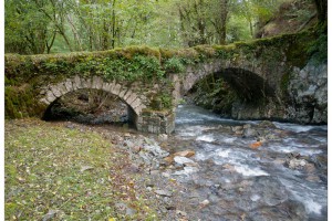Goizarin Burdinola